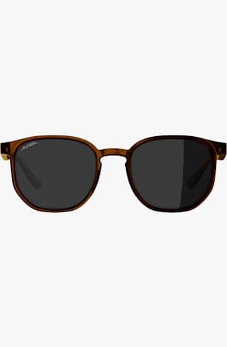 ALPINA Dimont lunettes de soleil Marron