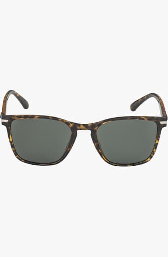 ALPINA Yefe lunettes de soleil Marron