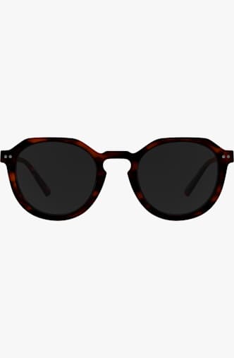 ALPINA Sneek 2.0 lunettes de soleil Marron