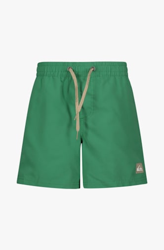 Quiksilver Everyday Volley 14" Jungen Badeshort Grün