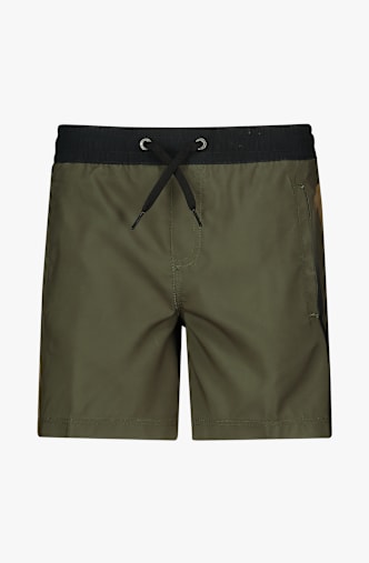 Quiksilver Everyday Holmes Volley 16" Jungen Badeshort Grün