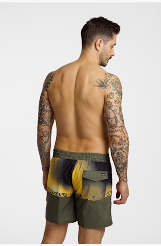 Quiksilver Everyday 16" costume da bagno uomo Verde