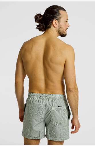 Quiksilver Everyday Deluxe 15" short de bain hommes Vert