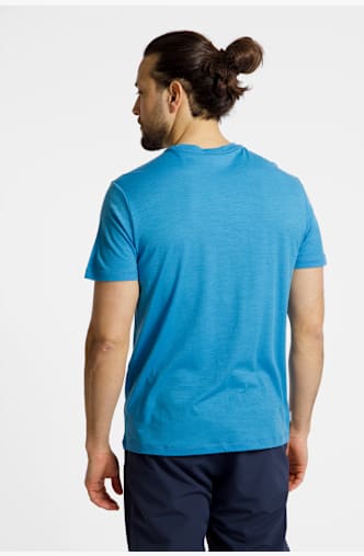 icebreaker Merino 150 Tech Lite Range Stripes t-shirt hommes Bleu