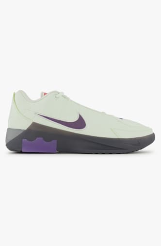 Nike LeBron Witness 9 Herren Basketballschuh Grau