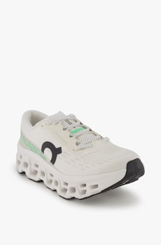 ON Cloudmonster 3 Herren Laufschuh Grau