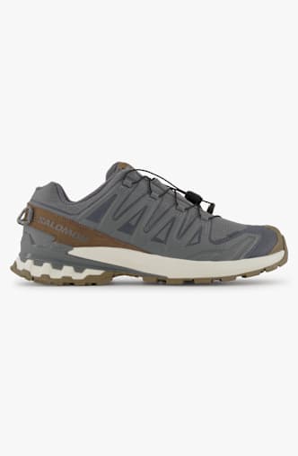 Salomon XA Pro 3D V9 Gore-Tex® Herren Trekkingschuh Grau