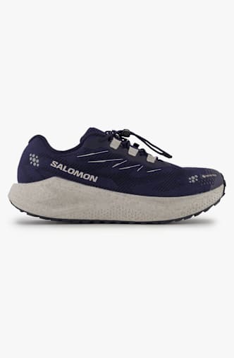 Salomon Aero Blaze 4 GRVL Gore-Tex® Herren Trailrunningschuh Blau