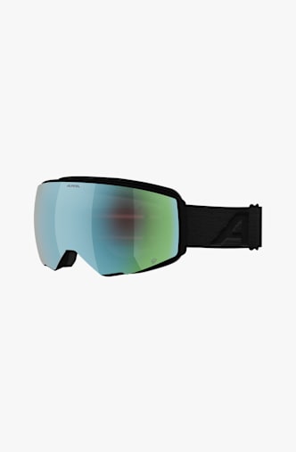 ALPINA Granby 2 Q Skibrille Grün