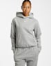 Nike Studio Fleece Medium Weight hoodie femmes Gris Clair