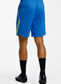 Nike Brasilien Home Replica Herren Short WM 2026 Blau 51262 2