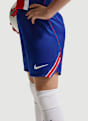 Nike Paris Saint-Germain Home Replica Kinder Short 26/27 Blau 51269 3