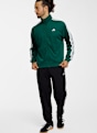 adidas Dayready Herren Trainingsjacke Grün 52406 3
