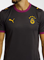 PUMA Galatasaray Istanbul Away Replica maillot de football hommes 26/27 Gris 52655 3