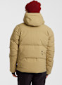 ALBRIGHT Montana Herren Skijacke Beige 64893 2