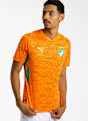 PUMA Elfenbeinküste Home Replica Herren Fussballtrikot WM 2026 Grün 52981 1