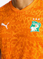 PUMA Côte d’Ivoire Home Replica maillot de football hommes CDM 2026 Vert 52981 3