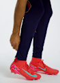 Nike FC Barcelona Dri-FIT Strike Herren Trainerhose Blau 53892 6