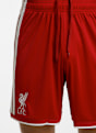 adidas Liverpool FC Home Replica short hommes 26/27 Rouge 54249 4
