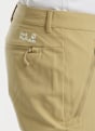 Jack Wolfskin Pico Trail pantalon de randonnée hommes Beige 54413 5