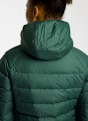 Jack Wolfskin Wild Pass Hooded Damen Daunenjacke Grün 54404 5