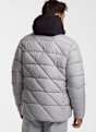 SCOTT Insuloft Warm Herren Steppjacke Grau 55762 2