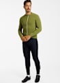 Q36.5 Dottore Pro LS Herren Rennradtrikot Grün 66950 3