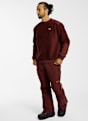 PROTEST PRTKeenan maglioni uomo Bordeaux 64934 3