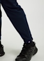 Odlo Zeroweight X-Warm Insulated 80th Anniversary pantaloni da sci di fondo donna Blu Scuro 56574 5