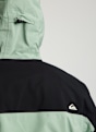 Quiksilver Forever Stretch Gore-Tex® veste de ski/snowboard hommes Vert 59400 9