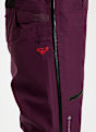 Roxy Lunalite 3L Gore-Tex® pantalon de ski/snowboard femmes Bordeaux 61451 5