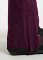 Roxy Lunalite 3L Gore-Tex® pantalon de ski/snowboard femmes Bordeaux 61451 6