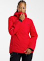 Roxy Drifter Gore-Tex® Damen Ski-/Snowboardjacke Rot 61457 1