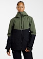 Roxy Purelines Stretch Gore-Tex® giacca da sci/snowboard donna Verde 61454 1