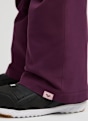 Roxy Banky Ice 10K Kinder Ski-/Snowboardhose Bordeaux 61483 6