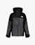 The North Face Chakal Herren Ski-/Snowboardjacke Grau