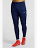 Nike Dri-Fit Strike pantalon de sport hommes Bleu