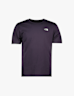 The North Face Evolution Simple Dome Herren T-Shirt Grau