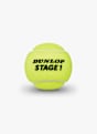 Dunlop Stage 1 balles de tennis Vert 3871 3