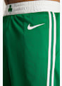 Nike Boston Celtics short de basket hommes Vert 3892 6