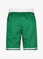 Nike Boston Celtics short da basket uomo Verde 3892 8