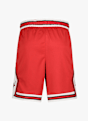 Nike Chicago Bulls short da basket uomo Rosso 3905 7
