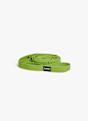 BLACKROLL Multi Fitnessband Grün 4203 1