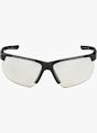 ALPINA Defey HR lunettes de sport Noir 59495 2