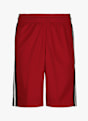 Jordan Air Jordan HBR Kinder Basketballshort Rot 5090 1