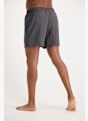 PROTEST DAVEY costume da bagno uomo Grigio 9862 2