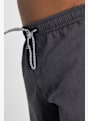 PROTEST DAVEY short de bain hommes Gris 9862 4