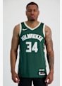 Nike Milwaukee Bucks Icon Edition Giannis Antetokounmpo maillot de basket hommes Vert 12492 1
