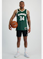 Nike Milwaukee Bucks Icon Edition Giannis Antetokounmpo maglia da basket uomo Verde 12492 3