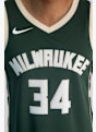 Nike Milwaukee Bucks Icon Edition Giannis Antetokounmpo maglia da basket uomo Verde 12492 4